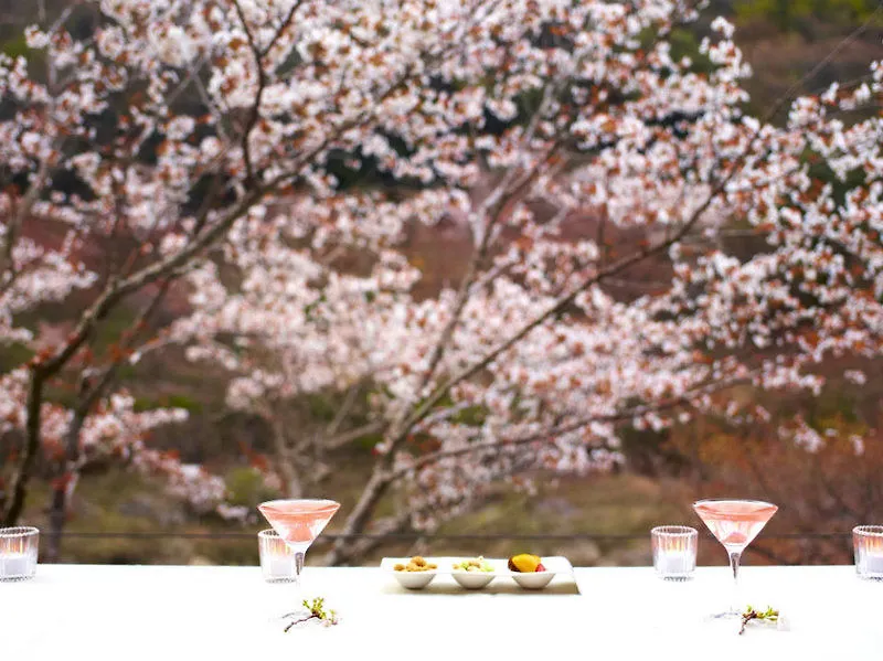 Hoshinoya Kyoto Hotel