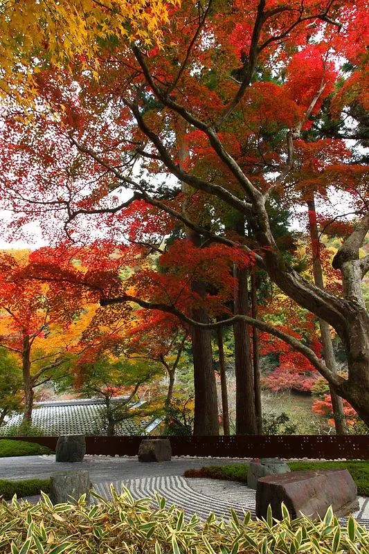 Hoshinoya Kyoto Hotel